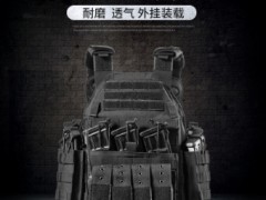 户外战术背心 多功能野战战术马甲 运动装备 厂家批发图3