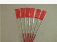 恒烨体育用品 环保 彩带 烤漆杆 杆49CM 6米专业 舞蹈彩带图2
