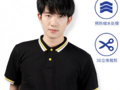 2019夏季新款休闲运动条纹polo衫 男女式翻领T恤定制LOGO工厂直批图2