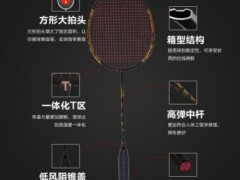 羽毛球拍情侣款龙凤全碳素纤维超轻单拍支持图3