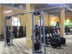 厂家批发健身器材 力量器械 上斜推胸 胸部训练器图3