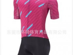 2017新款骑行服单车俱乐部订制 厂家直销 单车衣短袖套装订做图3