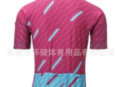 2017新款骑行服单车俱乐部订制 厂家直销 单车衣短袖套装订做图2