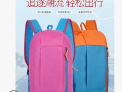 2019新款登山户外防水运动双肩背包定制logo旅行社礼品培训背包图3
