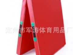 厂家直销儿童舞蹈垫 瑜伽垫折叠体操垫健身练功仰卧起坐海绵垫子图2