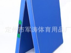 厂家直销儿童舞蹈垫 瑜伽垫折叠体操垫健身练功仰卧起坐海绵垫子图3