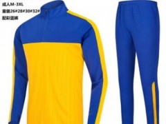 足球训练服半拉链训练服空白组队服春秋冬踢球训练服外套DIY印字图2