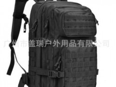 电商爆款军迷战术背包户外防水背包多功能登山包学生书包一件代发图3