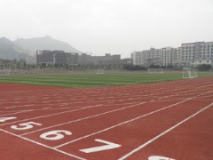 跑道透气型 塑胶跑道 小学跑道 福建跑道 中学跑道图2