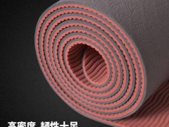 工厂现货批发出口tpe瑜伽垫健身瑜伽毯平板撑辅具图2