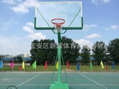 金陵11226移动篮球架 NBA篮联成人篮球架 室外标准篮球架厂家江苏图1