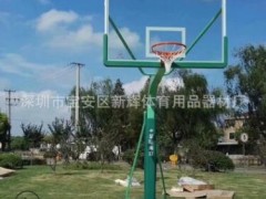 金陵11226移动篮球架 NBA篮联成人篮球架 室外标准篮球架厂家江苏图2