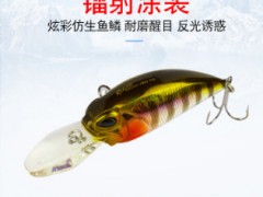 路亚假饵套装淡水全套日本进口duo翘嘴鲈鱼通杀米洛钓鱼假饵清仓图3