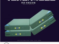体操垫跳高垫 帆布跳高垫内置海绵 高弹性缓存保护身体图3