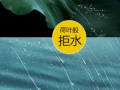 探险者户外二室一厅8-10人家庭防雨帐篷多人野外露营郊游大帐篷图2