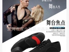 成人儿童女士三节底网眼教师鞋现代舞鞋软底牛筋室内外可新款广场图2