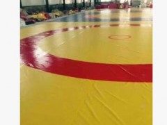 摔跤垫散打垫 武术垫厂家直销空翻垫搏击垫可定制图3