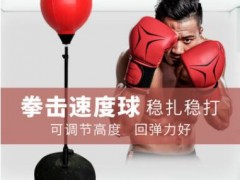 拳击速度球散打反应靶家用健身训练器材不倒翁立式成人沙袋包批发图1