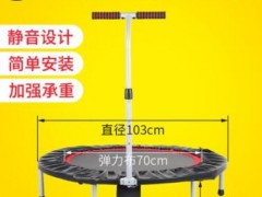 室内成人弹簧蹦蹦床健身房蹦床圆形40英寸儿童跳跳床家用健身蹦床图3