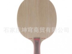 正品行货STIGA斯帝卡斯蒂卡全能改进型AE ALLROUND EVOLUTION图3