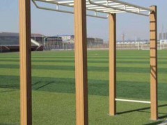 公园小区户外健身器材 双人漫步机图3