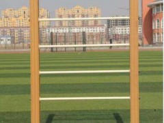 公园小区户外健身器材 双人漫步机图2