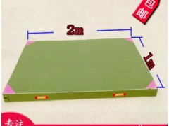 专业定做有机硅防水海绵垫子 帆布加厚家用舞蹈垫子折叠体操垫图3