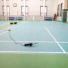 厂家直销运动地胶室内篮球场羽毛球乒乓球健身房运动地板