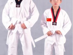 厂家直销纯棉涤棉春季夏季成人儿童男女跆拳道服装跆拳道训练服图1