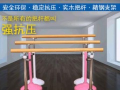 移动式舞蹈把杆 舞蹈把杆家用专业压腿杆 舞蹈室可升降成人把杆图2