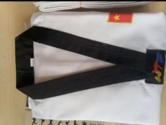跆拳道服成人儿童春夏印字绣字定制纯棉长短袖男女初学者训练道服图2