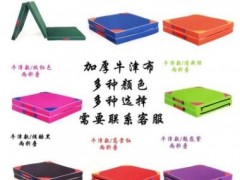 厂家直销体操垫健身仰卧起坐空翻海绵垫子多彩牛津皮革折叠体操垫图2