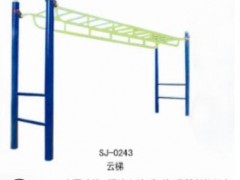 厂家直销 室外健身器材云梯双层天梯 平悌 健身器材厂家图2