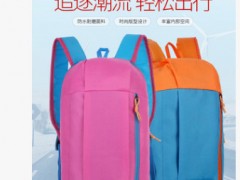 2019新款登山户外防水运动双肩背包定制logo旅行社礼品培训背包图3