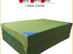 跆拳道跑酷武术空翻训练保护海绵垫 有机硅帆布加网PVC 落地垫子图2