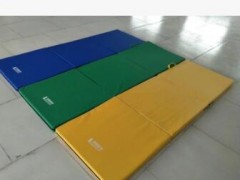厂家直销加厚成人儿童瑜伽体操舞蹈垫健身练功训练垫环保防滑批发图2
