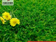 建筑围挡草坪 室外工程球场人造草坪 幼儿园仿真草坪塑料假草皮图3