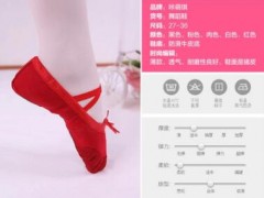 成人幼儿童舞蹈鞋软底女童舞蹈鞋芭蕾舞鞋帆布瑜伽跳舞猫爪练功鞋图2
