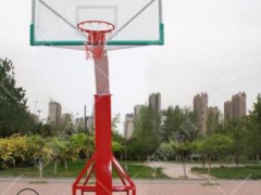 仿液压篮球架 三色移动式篮球架 高级仿液压篮球架图3