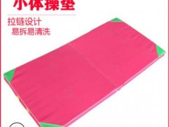 多功能折叠训练垫 跆拳道武术训练瑜伽垫幼儿园儿童舞蹈练功垫子图3