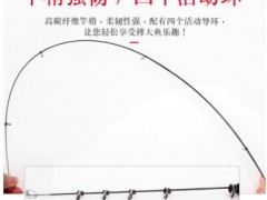 韩国龙成YS6 PLUS 4.3 5.3米斜导环矶钓竿杆超轻超硬手海两用竿图3