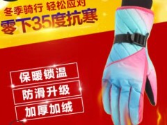 女士触屏手套保暖防水防风防寒户外运动骑行车滑雪棉手套冬季加厚图2