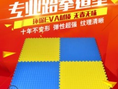 跆拳道垫子 跆拳道地垫 高密度环保无味 比赛专用 加厚地垫1米图2