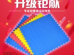 跆拳道垫子 跆拳道地垫 高密度环保无味 比赛专用 加厚地垫1米图3