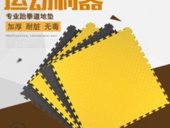 工厂家直销 专业跆拳道垫子 武术地垫 跆拳道地垫加厚高密度图3