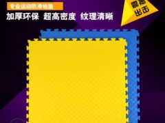 工厂家直销 专业跆拳道垫子 武术地垫 跆拳道地垫加厚高密度图2