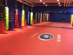 搏击地垫 运动卷帘垫新型卷帘垫格斗地垫 MMA格斗地垫厂家直销图2