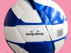 厂家直销成人5号PU胶粘热粘合中考足球真皮专用4号软皮图3