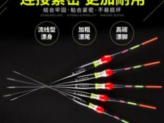 出口日本不断尾超亮电子海钓漂远投漂水库立漂滑漂矶钓漂一件图2