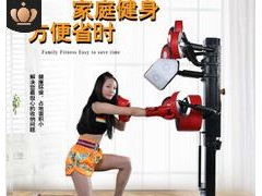 拳击立式多位可调节智能拳靶 沙袋脚靶多功能健身房拳击训练器材图3